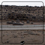 انسان 250 ساله